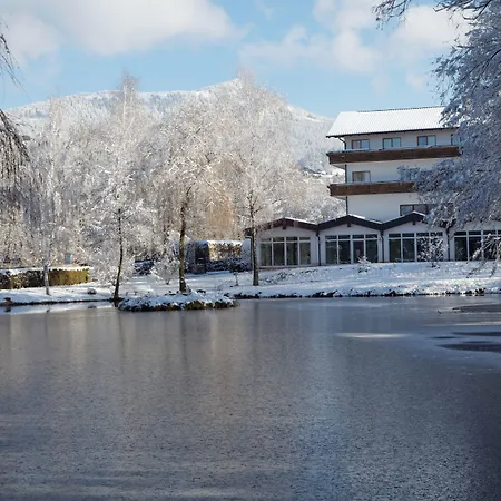 Hotel Zum Hirschen Lam