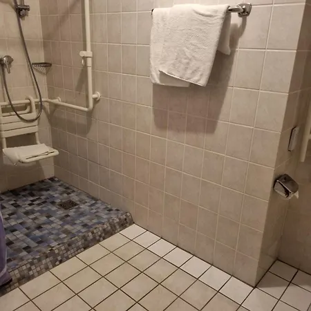 Zum Hirschen Hotell Lam