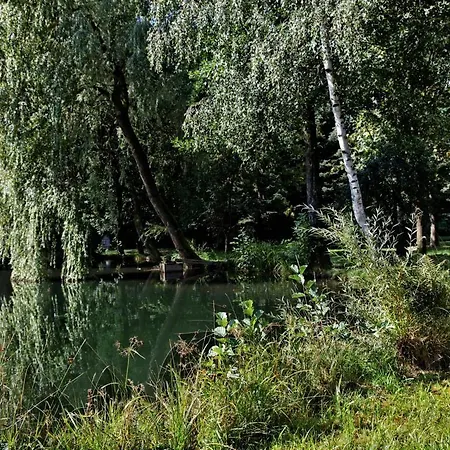 Zum Hirschen Hotel 3*