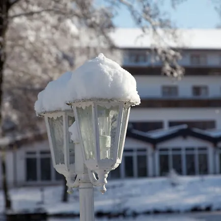 Zum Hirschen מלון