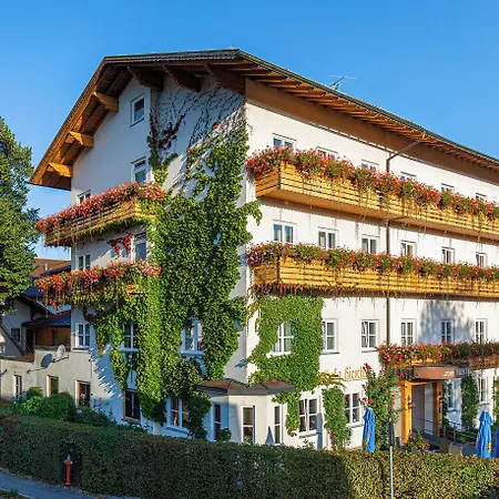 Zum Hirschen Hotel