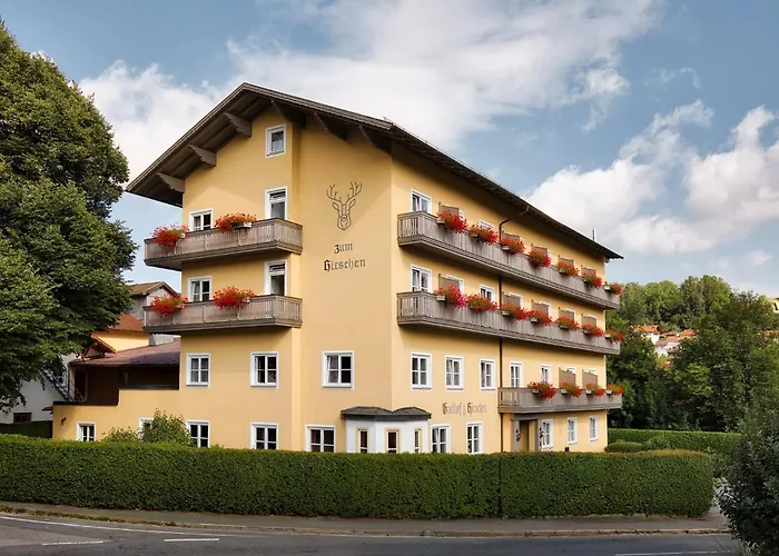 Zum Hirschen Hotel 3*